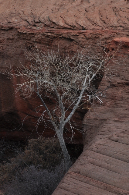 The Hanging Garden Trail